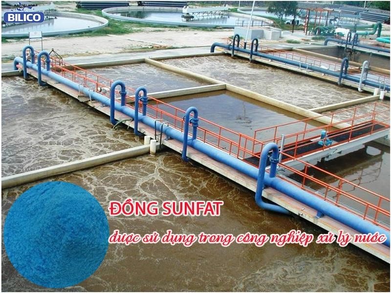 Ứng dụng của Đồng Sunfat được sử dụng trong công nghiệp xử lý nước