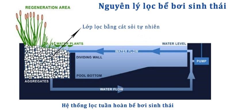 Hệ thống lọc nước của bể sinh thái