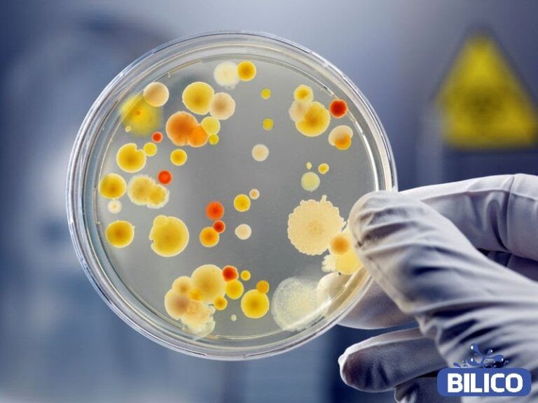 Coliform là gì? | Cách xử lý Coliform có trong nước hiệu quả nhất