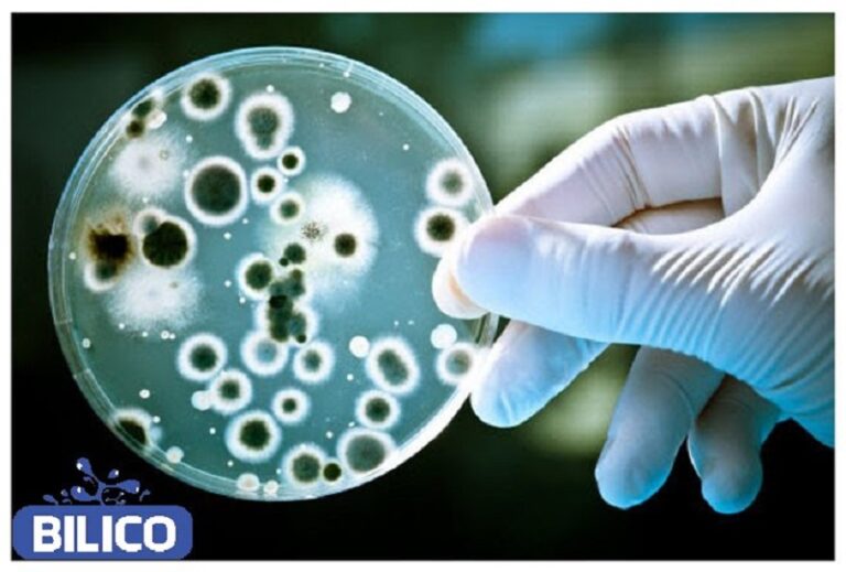Coliform là gì? | Cách xử lý Coliform có trong nước hiệu quả nhất
